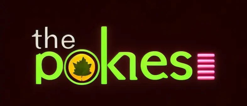 Discover the Thrill of Online Gaming with thepokies