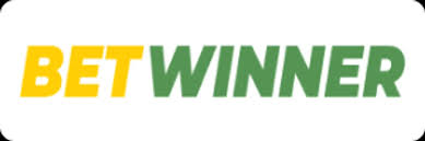 The Ultimate Guide to Playing Casino Online The Ultimate Guide to Playing Casino Online