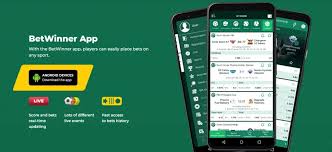 BetWinner Customer Support Your Guide to Assistance and Solutions
