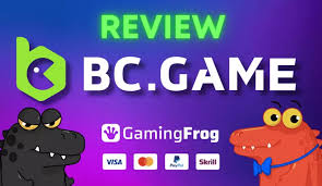 Exploring the Unique Features of Crypto Casino BC.Game