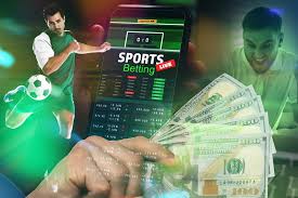 Discover the Thrills of SpinFred Casino A Gamers Paradise