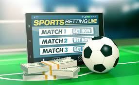Explore the Exciting World of Betwinner Your Ultimate Betting Companion