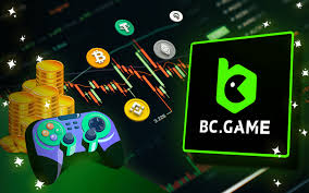 Understanding the BC App Verification Process A Complete Guide 853311471 Understanding the BC App Verification Process A Complete Guide 853311471
