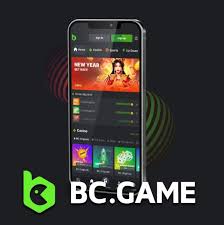 Understanding the Privacy Policy of BC Game 2104930691