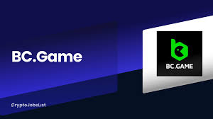 Understanding the Privacy Policy of BC Game 2104930691